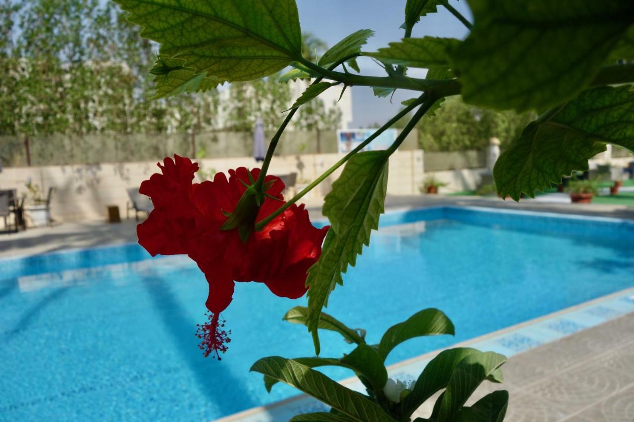 Grand Tayba Hotel 塞拉莱 外观 照片